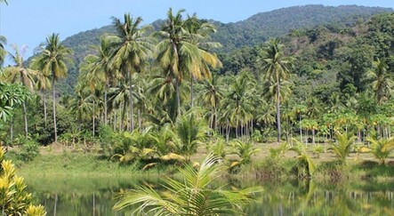 Japonya ile Brezilya, Amazonlardaki biyoçeşitliliği koruyacak mutabakat muhtırası imzaladı - dunya