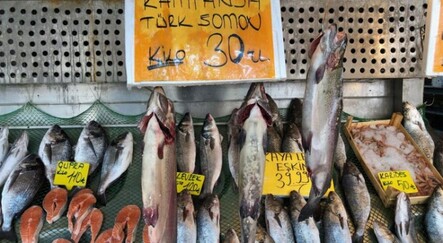 Norveç somonuna rakip: Türk somonun kilosu 30 lira - dunya