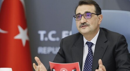 Nadir elementler gün yüzüne çıkıyor - ekonomi