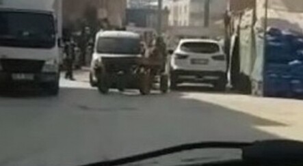 Başıboş at arabası karşı yönden gelen otomobille çarpıştı - yasam