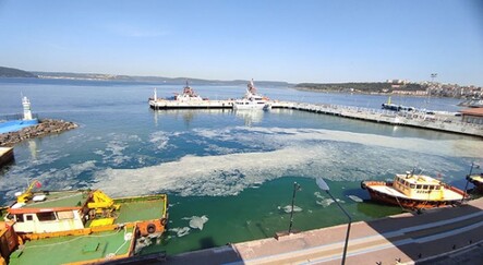 Çanakkale Boğazı'ndaki müsilaj balıkçıların kabusu oldu - gundem