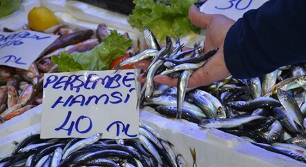 Hamsi kırmızı etle yarışıyor: Fiyatı 40 lira - gundem