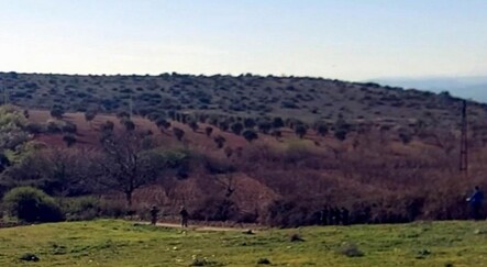 Hudut Kartalları sınırda kuş uçurtmuyor - turkiye