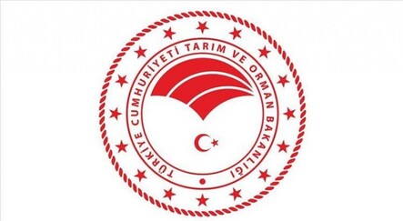 Tarım ve Orman Bakanlığından patates ve soğan üretimine ilşkin açıklama - yasam