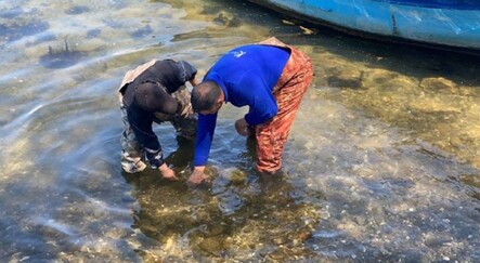 Bursa'da balıkçıların ağına tarihi eser takıldı - yasam