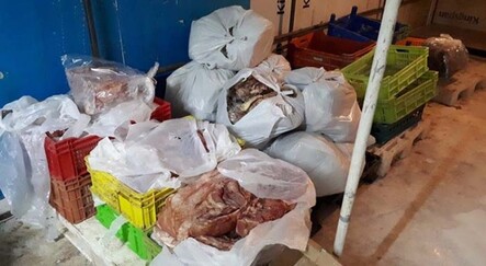 Eskişehir'de mide bulandıran görüntü, piyasaya sürecekken yakalandılar - yasam