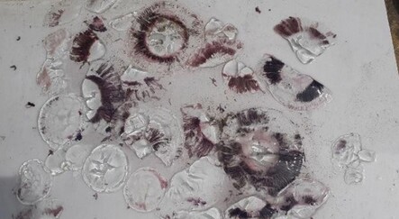 Kuşadası'nda ölü denizanaları sahile vurdu - yasam