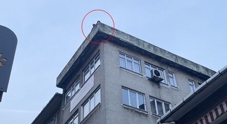 Zabıtadan ceza yiyen engelli kadın, eşiyle birlikte intihara kalkıştı - yasam