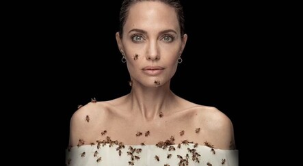 Angelina Jolie’den Dünya Bal Arısı Günü pozu! Arılar üzerinde uçuştu - magazin