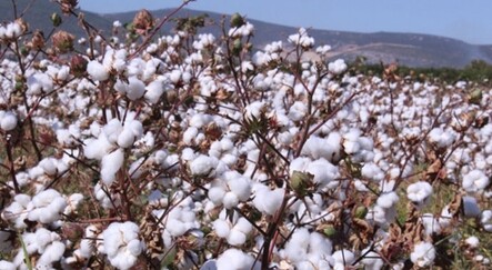 Avrupalı hazır giyimci rotayı Türkiye’ye çevirdi - ekonomi