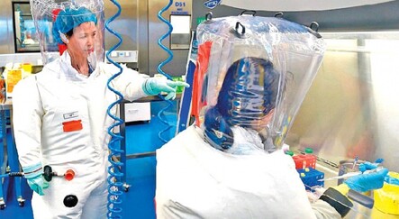 Covid-19’un atası yok - saglik