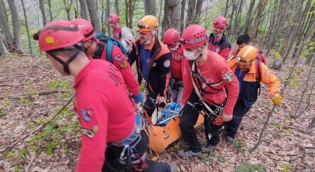 Define ararken dengesini kaybederek uçurumdan düşüp öldü - yasam