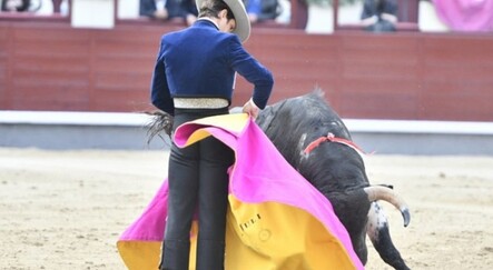 İspanya’da salgının başından bu yana ilk
