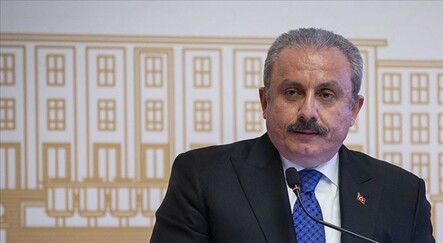 TBMM Başkanı Şentop, Halbusi ile Filistin'i görüştü - gundem