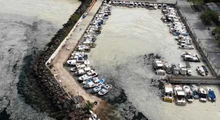Uzmanlar uyardı! Deniz salyası olan bölgelerde denize girmeyin - saglik