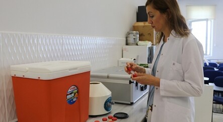 Bor madeninden yara tedavisinde ve cilt bakımında kullanılacak krem üretildi - ekonomi