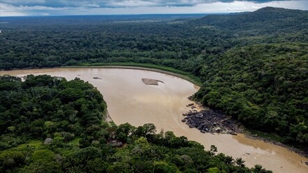 Brezilya Amazonlar'a yeniden asker gönderiyor - dunya