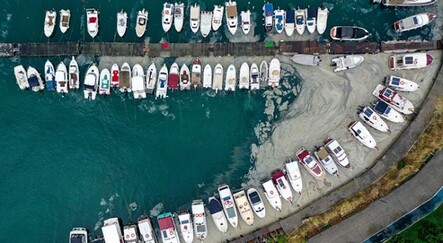 Deniz salyası kabusu sürüyor - saglik