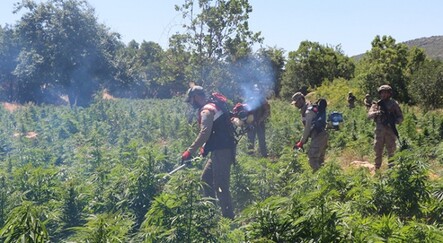 Diyarbakır’da terör örgütünün finansmanına büyük darbe! - gundem