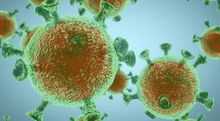 Hindistan'da 'Delta Plus' vakaları 40’a yükseldi - dunya