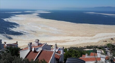Müsilaja yönelik karar Resmi Gazete'de yayımlandı - gundem