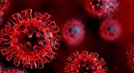 Sevindiren tespit: Covid aşıları Hindistan varyantına karşı da koruyor - dunya