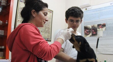 Şoke eden soru: 'Kızıma da, kediye köpeğe taktiğiniz gibi çip takar mısınız?' - gundem