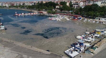 Tekirdağ kıyılarına müsilaj geri geldi - gundem