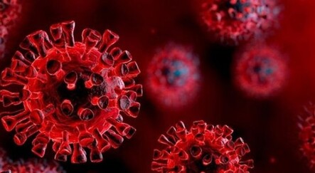 Uzmanlar uyardı: Covid’den ölümlere alışmalıyız - saglik