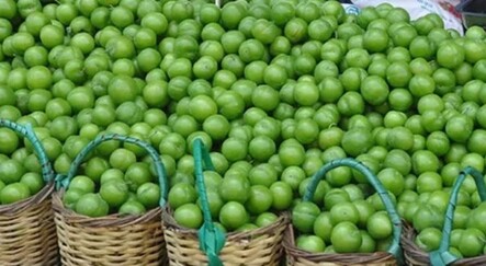 Yeşil eriğin fazlası sindirim sistemini bozuyor - saglik