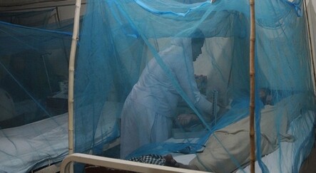 Bangladeş'in bir diğer sınavı: Dang humması - dunya