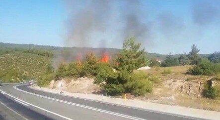 Bilecik'te yangın, 1 gözaltı var - gundem