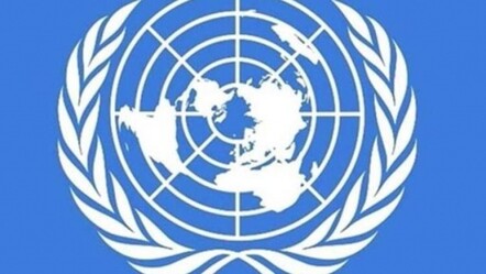 BMGK'den kritik Suriye kararı - dunya