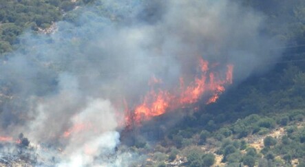 Bodrum’da yangın durmuyor, Belediye Başkanı'ndan halka çağrı - gundem