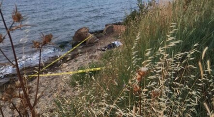 Emekli albay dehşeti: 2 ölü, 3 yaralı - yasam