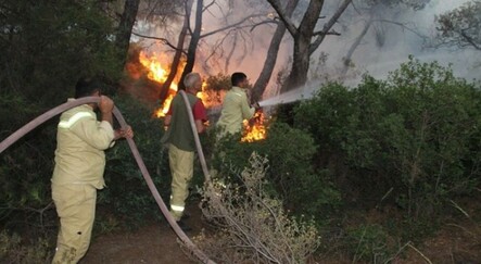 İzmir Foça'daki yangın saatler sonra kontrol altına alındı - yasam