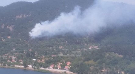İzmir Ödemiş'te orman yangını! Kontrol altına alındı - yasam