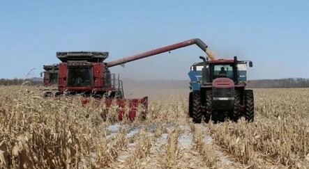 Kanada'da son 20 yılın en kurak dönemi yaşanıyor - dunya