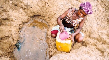 Madagaskar kurudu! - kultur-sanat