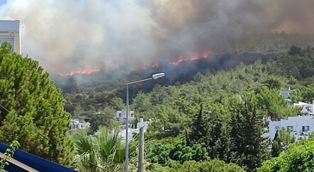 Bodrum'da makilik ve ormanlık alanda yangın - gundem
