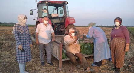 Tarlada aşı oldular - saglik