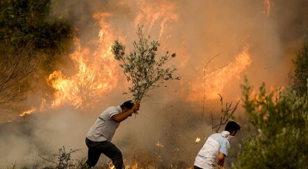 Yak emri Kandil’den - gundem