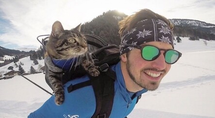 Adrenalin tutkunu kedi! Sahibiyle birlikte maceradan maceraya koşuyor - dunya