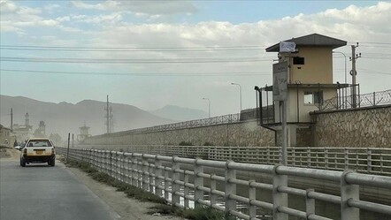 Avustralya ve Yeni Zelanda'nın Afganistan mesaisi: 650 kişiyi daha tahliye ettiler - dunya