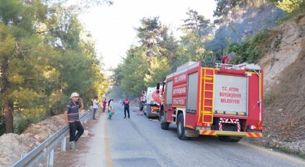 Aydın'da ağaçlık alanda başlayan yangın kontrol altına alındı - yasam