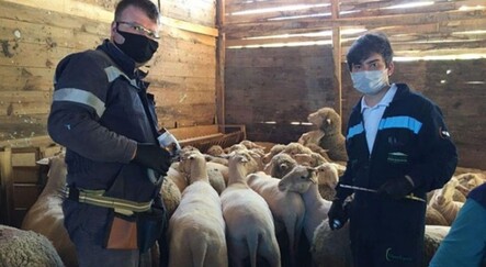 Çiçek hastalığı sebebiyle 4 köy ve 8 mahalle karantinada - yasam