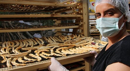 Devlet desteği ile kurdu... Şimdi dünyaya pazarlıyor - ekonomi