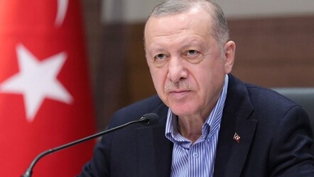 Erdoğan Türkiye'ye döndü - politika