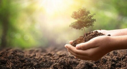 Fidan kampanyası çığ gibi büyüyor - ekonomi