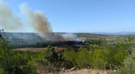 İzmir'de 1 günde 3 yangın çıktı - gundem